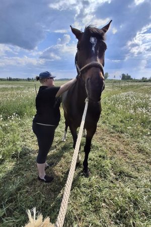 481658016_1520839352173682_7268073436436258129_n